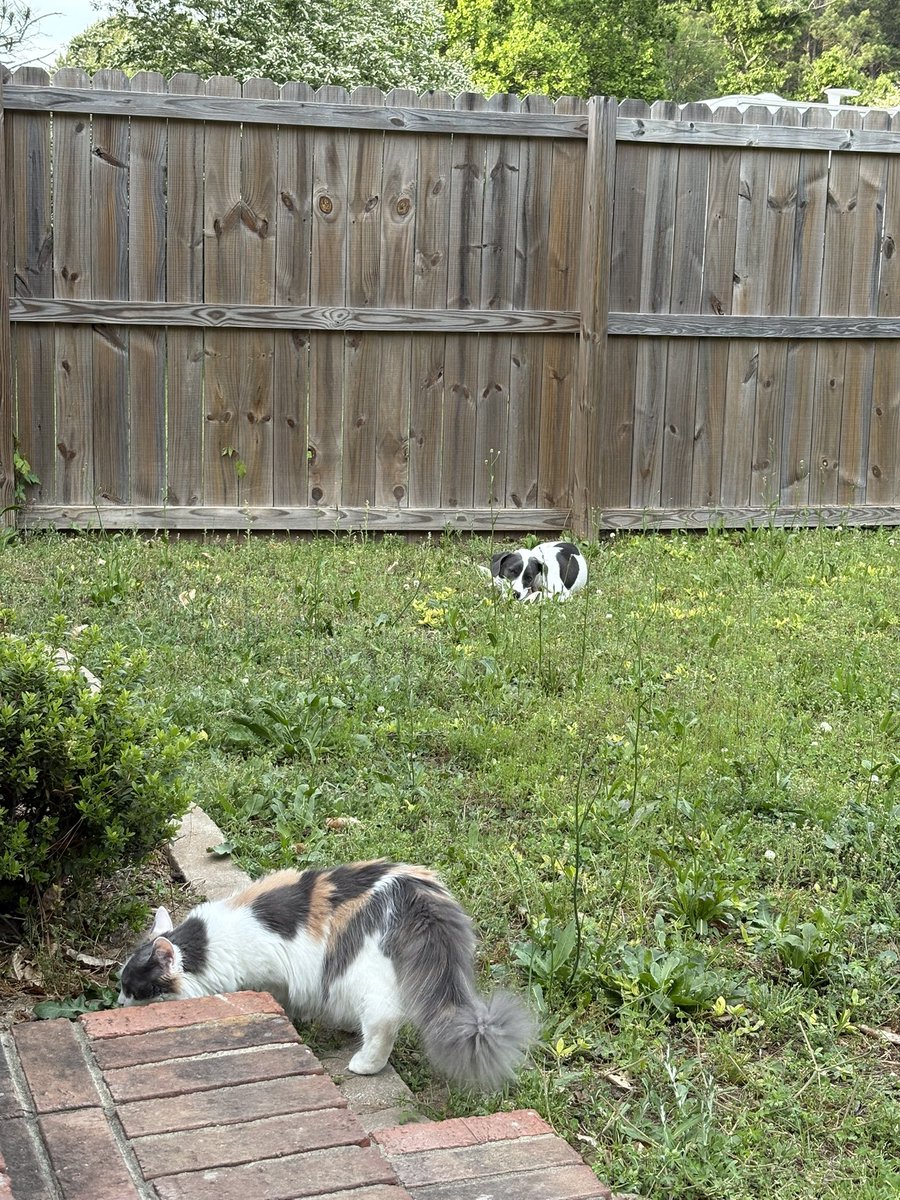 my girls