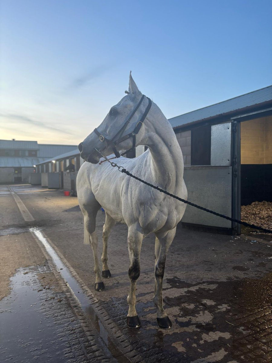 Brian The Snail tweet media