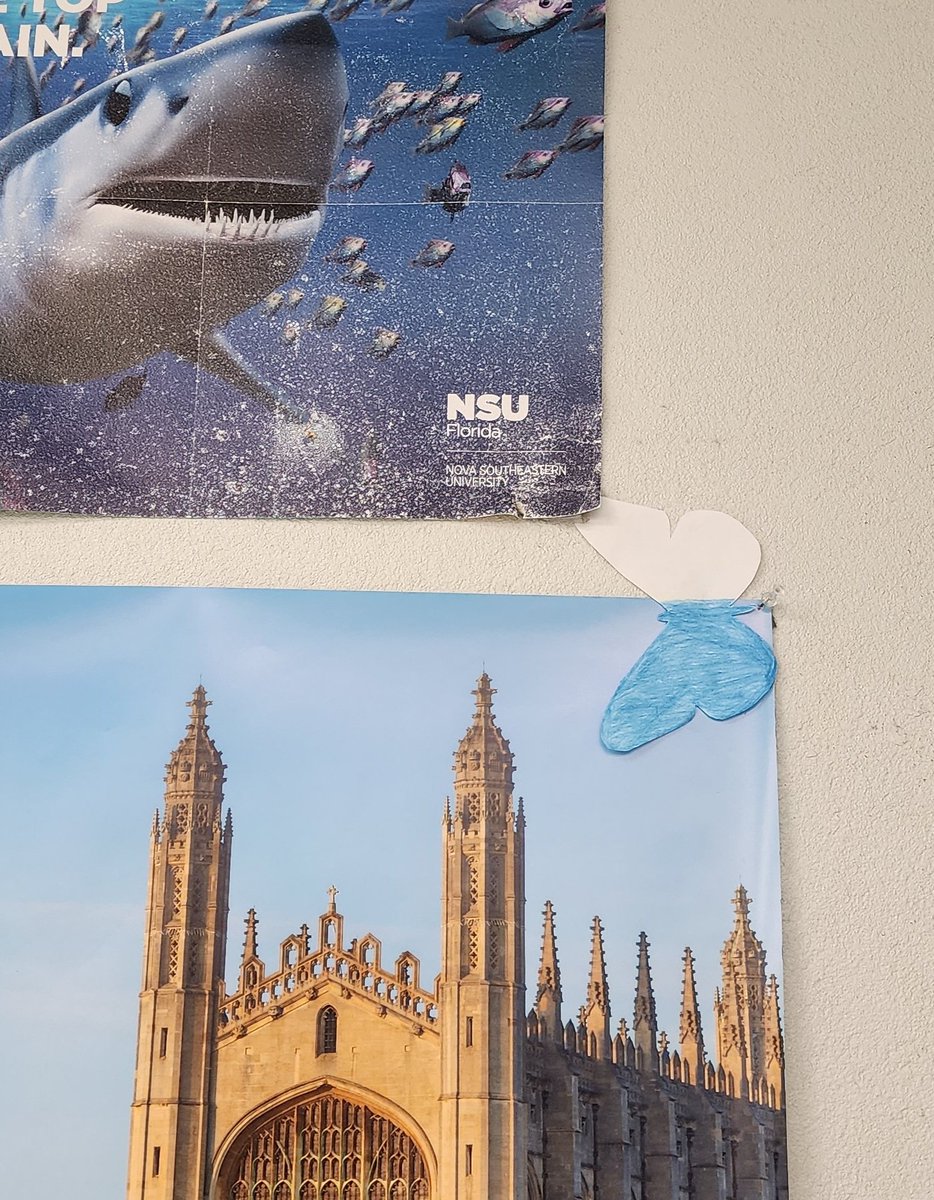 Spot the moth! The Peppered Moth is one of the best known examples of evolution by natural selection, Darwin's great discovery, and is often referred to as 'Darwin's moth'.