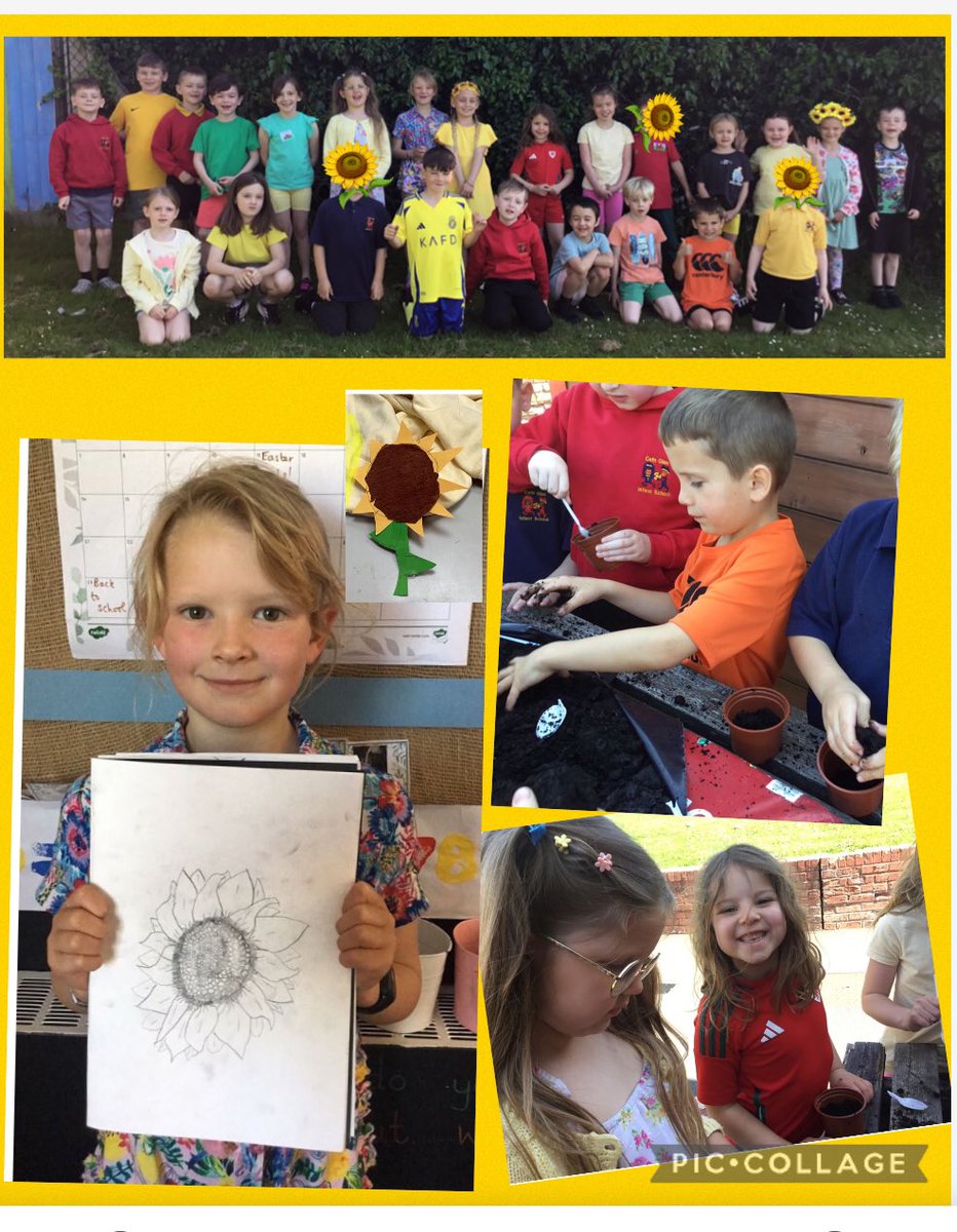 Dosbarth Miss Teague and Miss Jones Blwyddyn 2 tweet media