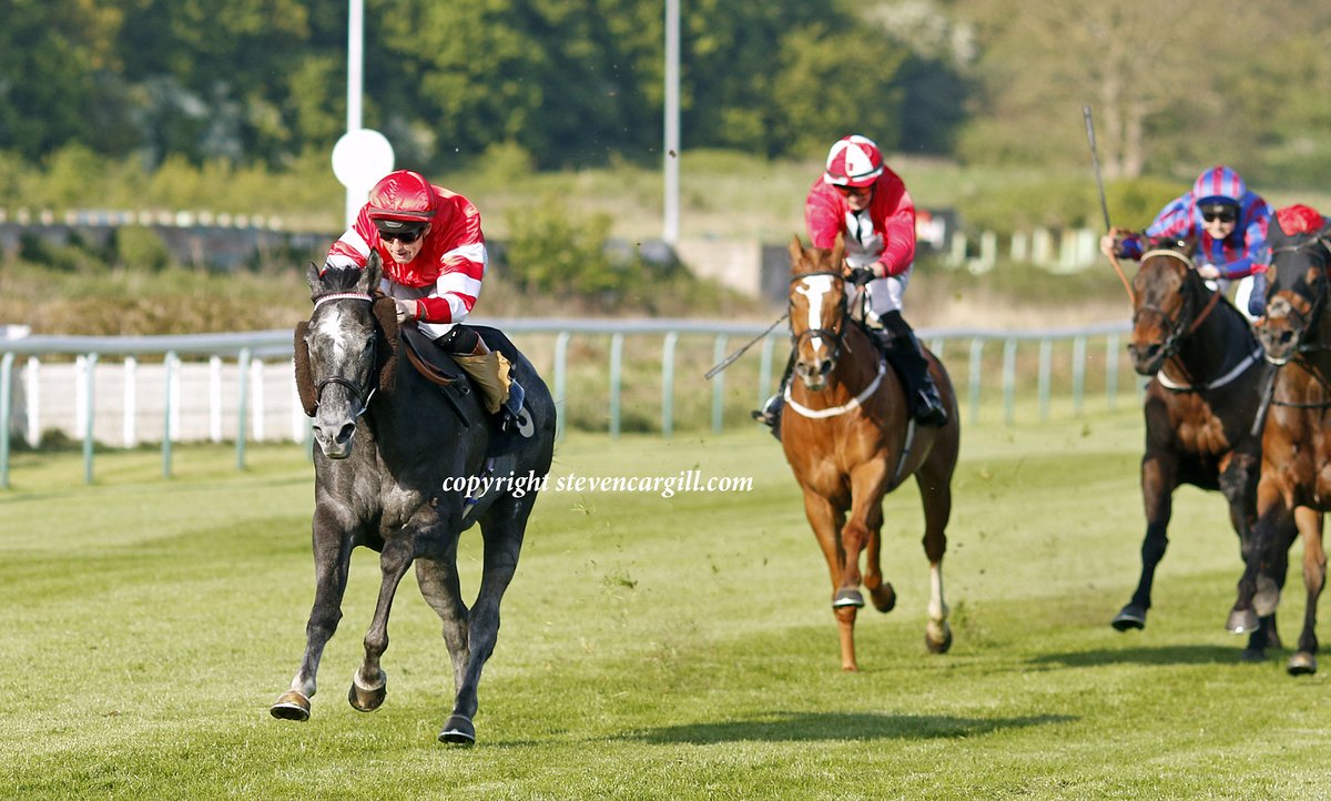 Steven_Cargill's tweet photo. 2nd win for 4yo g DOUBLE RED @trevor_whelan3 in 10f handicap @NottsRacecourse today for @BearstoneStud Belardo and trainer Henry Candy. https://t.co/T3lQWsaMO5