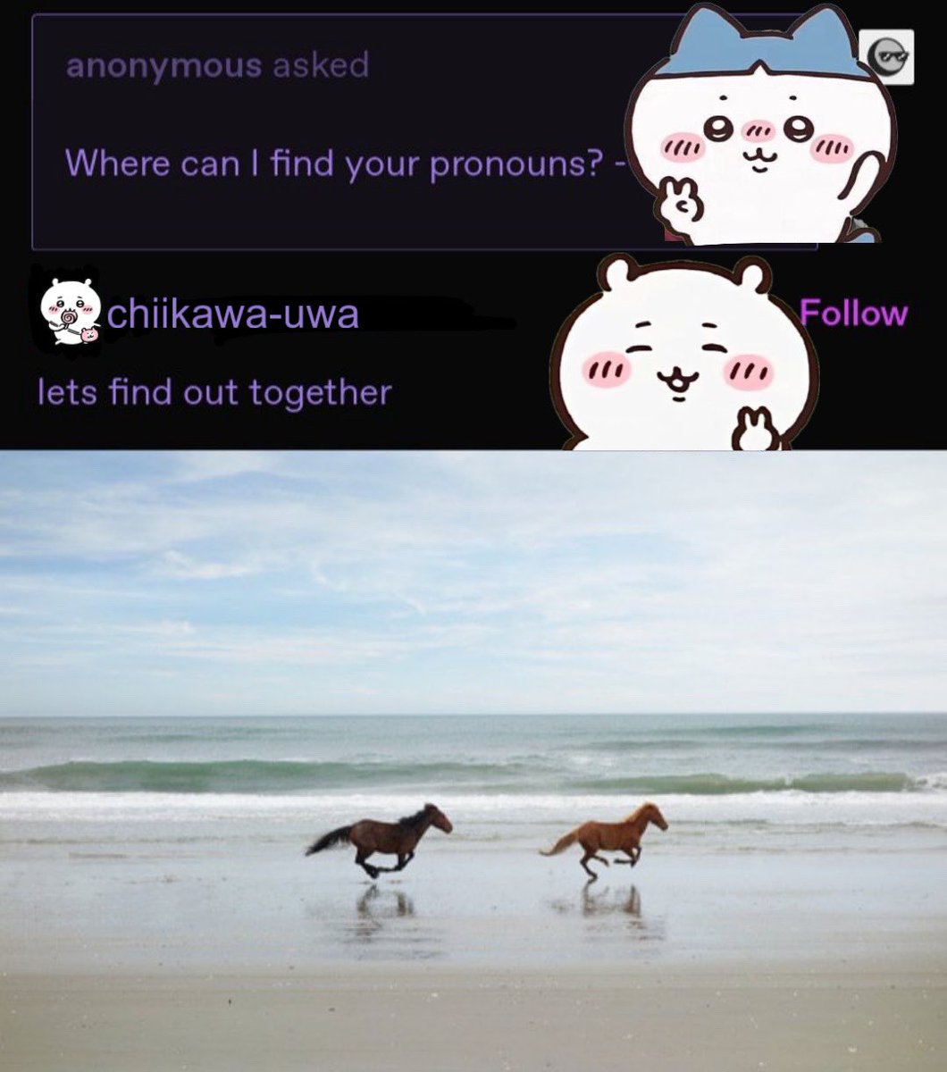 angry momonga (@friendlymomonga) on Twitter photo 