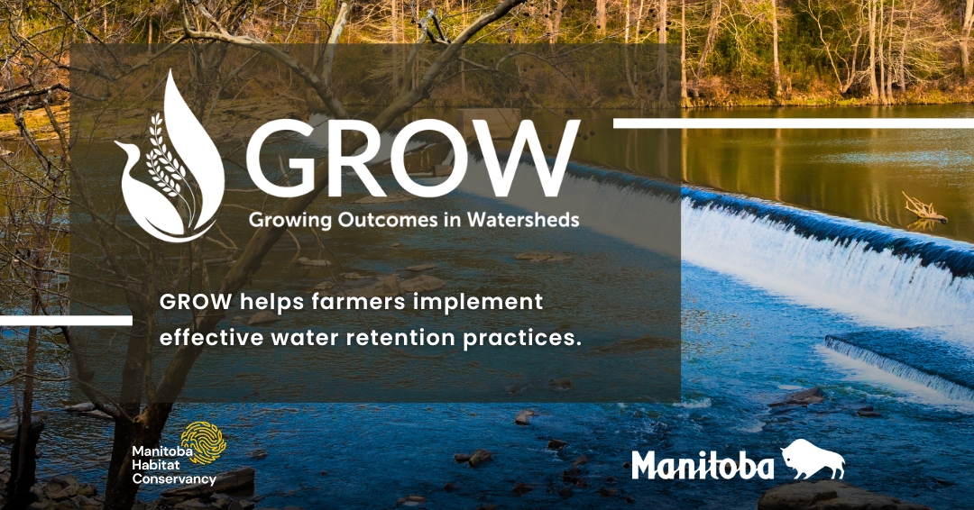 Water management is crucial for the health of our ecosystems! GROW helps farmers implement effective water retention practices.  Learn more about eligible projects and funding opportunities today - manitobawatersheds.org/grow

#GROW #GROWFundingMB #mbwatersheds