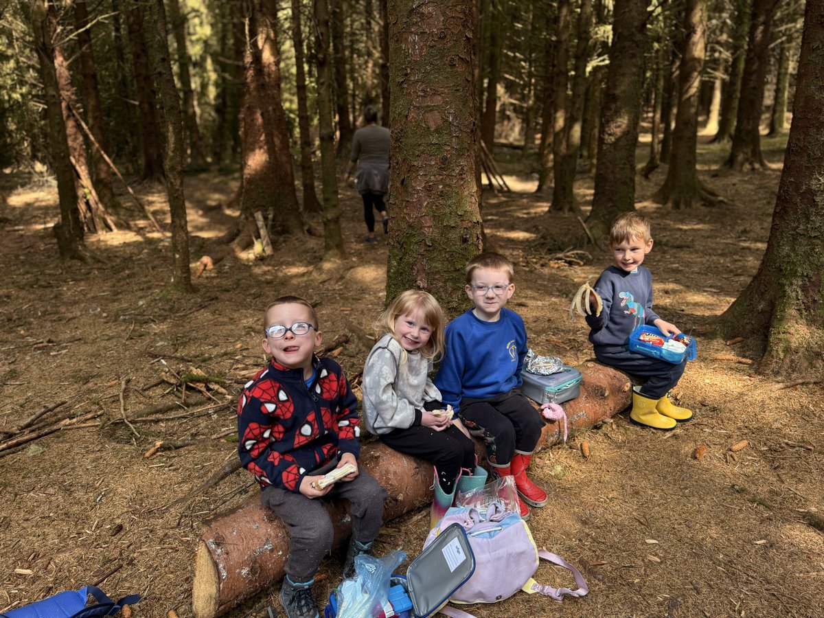 sacred_heartps's tweet photo. Our P1s had a fantastic day at Forest School today! π² They explored the outdoors, popped popcorn over the fire πΏπ₯, and even found a newt! π¦ #ForestSchool #OutdoorLearning #EarlyYears #NatureExplorers https://t.co/psiFGPnsb5