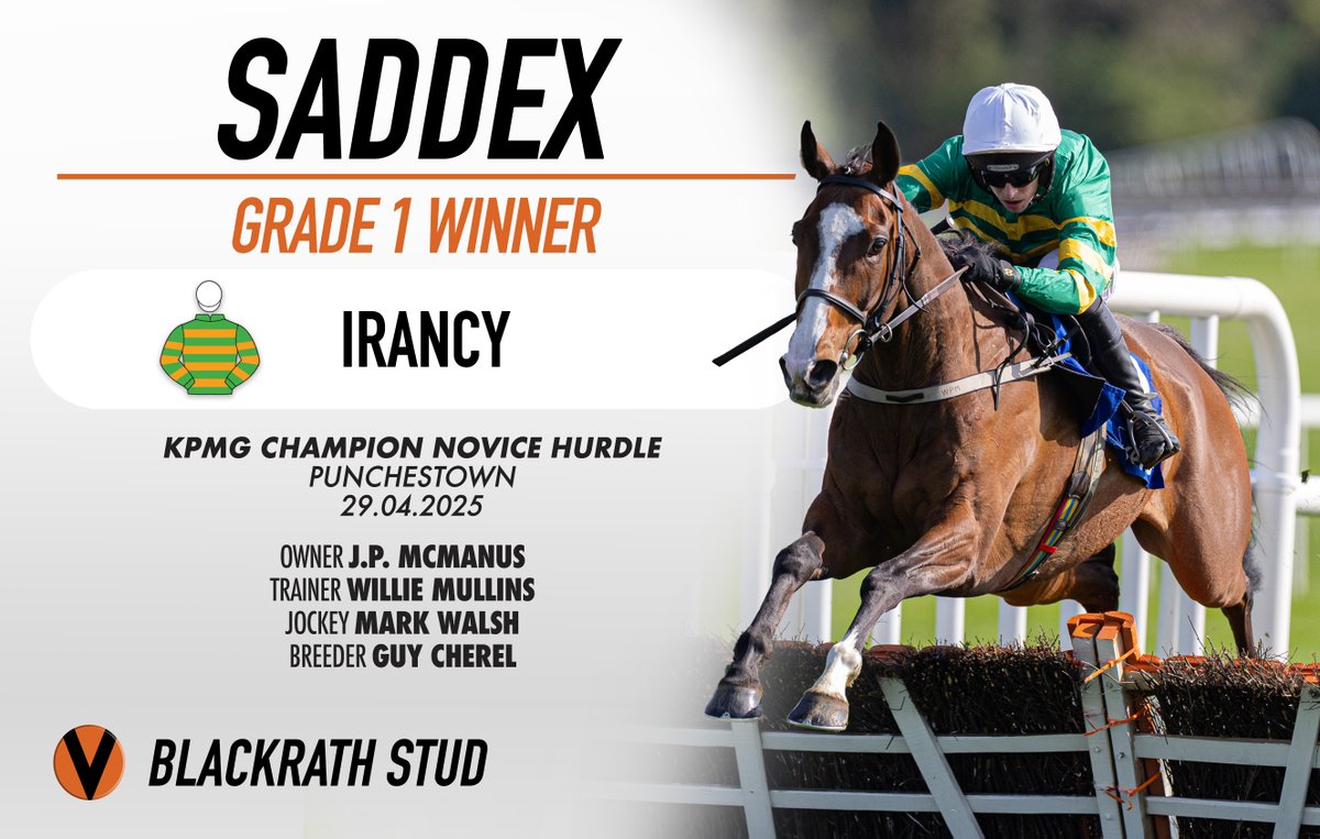 9 length Grade 1 winner for Saddex <a href="/punchestownrace/">Punchestown</a> Festival, IRANCY landed the <a href="/KPMG/">KPMG</a> Champion Novice Hurdle under Mark Walsh, for J.P. McManus and <a href="/WillieMullinsNH/">Willie Mullins</a>