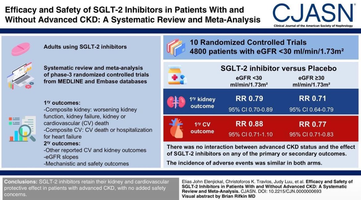 NiakhaleenKeita's tweet photo. #Interessant inhibiteurs de SGLT2 et DFGe<30 

✅ Efficaces (néphroprotection, cardioprotection)
✅ Surs (pas de risque supplémentaire)

#NephroContinue @bacary_ba @MF_NephroEpi @methjeng https://t.co/qyYYb6ZaAW https://t.co/scGSqgCvcz