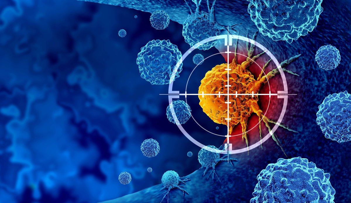 levitasbio's tweet photo. 🎯 Hit the bullseye with LeviSelect! Get gentle, viable target-specific cell enrichment in ~20 mins with LeviCell. #LeviSelect #LeviCell #CellEnrichment #Biotech #Research #CellIsolation #LabLife #UntouchedCells #Precision #Science
https://t.co/tAz4qdRN4a https://t.co/ThpTXQyk24