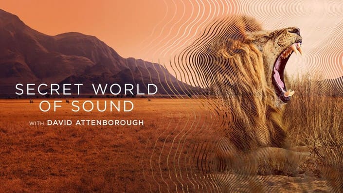 Hannah Writes Scripts (@hannahscripts) on Twitter photo 🏆The winners of the BAFTA TV CRAFT Awards 2025 have been announced! Leading the winners are Baby Reindeer and Slow Horses. Read on to find out more.
🔗Here's the link:
filmotomy.com/bafta-tv-craft…
<a href="/Filmotomy/">Robin Write</a> #BAFTACraftAwards 🏆The winners of the BAFTA TV CRAFT Awards 2025 have been announced! Leading the winners are Baby Reindeer and Slow Horses. Read on to find out more.
🔗Here's the link:
filmotomy.com/bafta-tv-craft…
<a href="/Filmotomy/">Robin Write</a> #BAFTACraftAwards