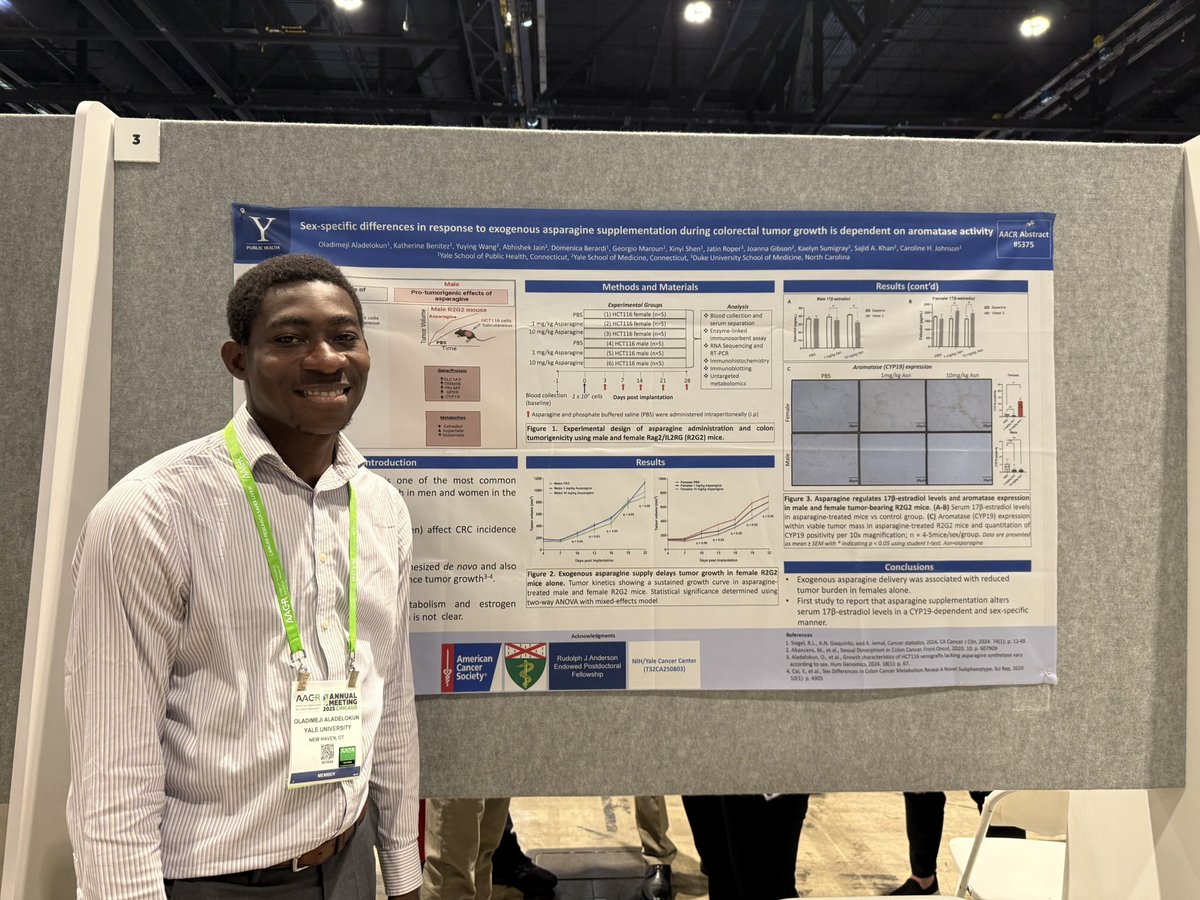 Yale Cancer Center (@yalecancer) on Twitter photo .<a href="/OAladelokun/">Oladimeji Aladelokun</a> presents new findings #AACR25 highlighting a reduced tumor burden in females only in response to exogenous asparagine supplementation during colorectal tumor growth. <a href="/Johnsonlab_yale/">Caroline H Johnson</a> <a href="/sajkhanmd/">Sajid Khan</a> <a href="/YaleSPH/">Yale School of Public Health</a> <a href="/SmilowCancer/">Smilow Cancer Hospital</a> .<a href="/OAladelokun/">Oladimeji Aladelokun</a> presents new findings #AACR25 highlighting a reduced tumor burden in females only in response to exogenous asparagine supplementation during colorectal tumor growth. <a href="/Johnsonlab_yale/">Caroline H Johnson</a> <a href="/sajkhanmd/">Sajid Khan</a> <a href="/YaleSPH/">Yale School of Public Health</a> <a href="/SmilowCancer/">Smilow Cancer Hospital</a>