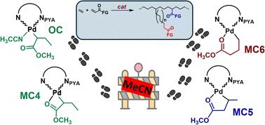 Barbara Milani (@milanibagroup) on Twitter photo Interested to the chain walking process in Pd-catalyzed polymerization reactions? Have a look at our last paper on <a href="/DaltonTrans/">DaltonTransactions</a> excellent collaboration between <a href="/albrecht_lab/">AlbrechtResearch</a> <a href="/unibern/">Universität Bern</a> & <a href="/milaniBaGroup/">Barbara Milani</a> <a href="/UniTrieste/">Università di Trieste</a> <a href="/DSCF_UniTS/">Chemical & Pharmaceutical Sciences at UniTS</a>
doi.org/10.1039/D5DT00… Interested to the chain walking process in Pd-catalyzed polymerization reactions? Have a look at our last paper on <a href="/DaltonTrans/">DaltonTransactions</a> excellent collaboration between <a href="/albrecht_lab/">AlbrechtResearch</a> <a href="/unibern/">Universität Bern</a> & <a href="/milaniBaGroup/">Barbara Milani</a> <a href="/UniTrieste/">Università di Trieste</a> <a href="/DSCF_UniTS/">Chemical & Pharmaceutical Sciences at UniTS</a>
doi.org/10.1039/D5DT00…