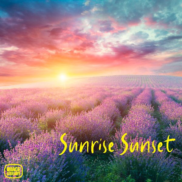 New Release From the Image Music Library - mailchi.mp/8b05df0fd2d8/i…