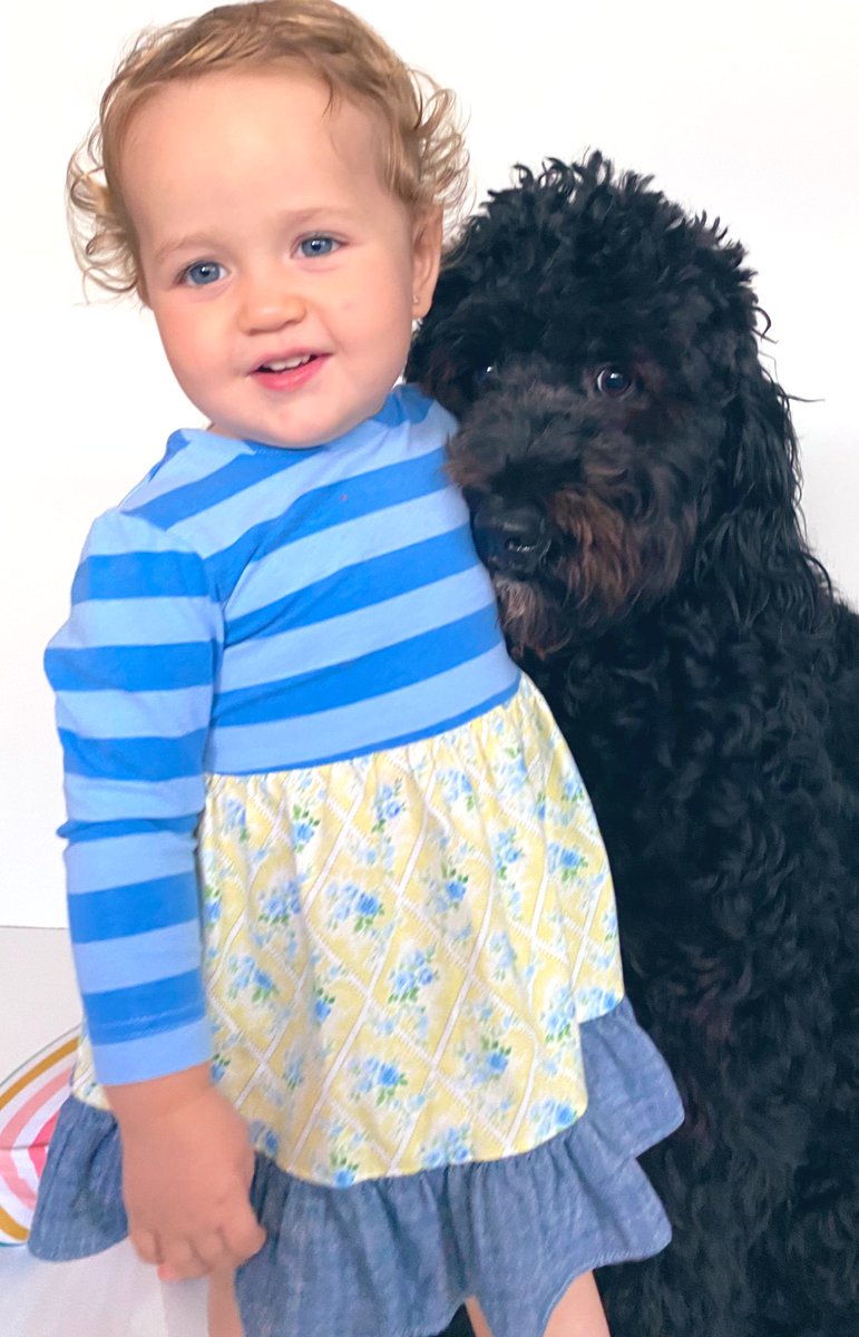 brightideamom's tweet image. Dogs are family. They deserve &quot;the good stuff&quot; too! ~&amp;gt;links.wesponso.red/FPQYZ5

#ad #dogs #poodle #portuguesewaterdog