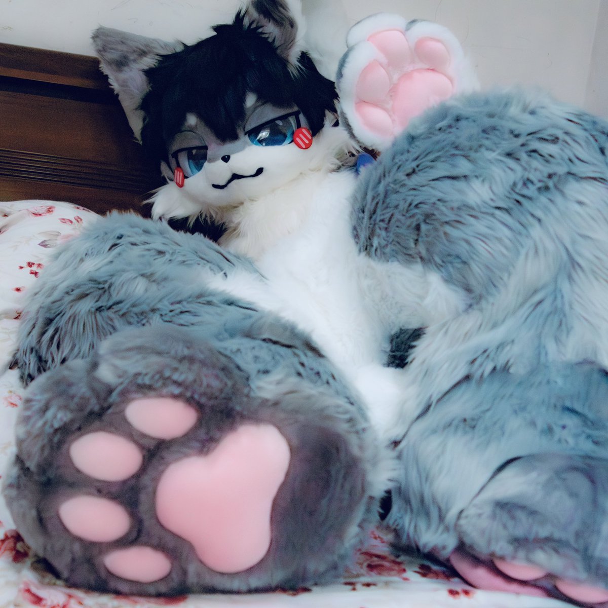 好香🤤
#furry #FursuitEveryday #paws