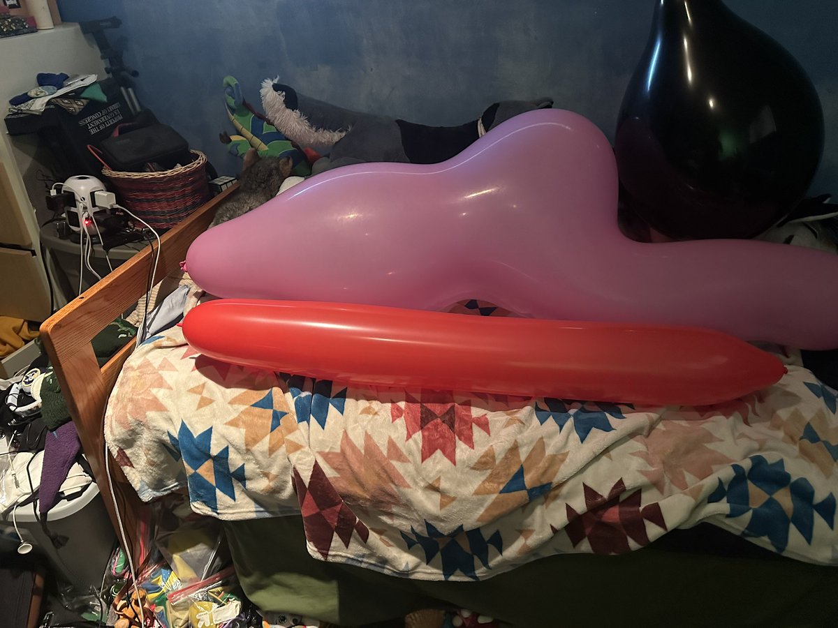 Behold my first Belbal 17 that isn't clear. It passes the first few squeak tests. I was almost worried. Something about clear Belbal latex just doesn't like to squeak. But this one makes up for it. And of course an elephant and a 660 cause they're the squeakiest balloons ever.