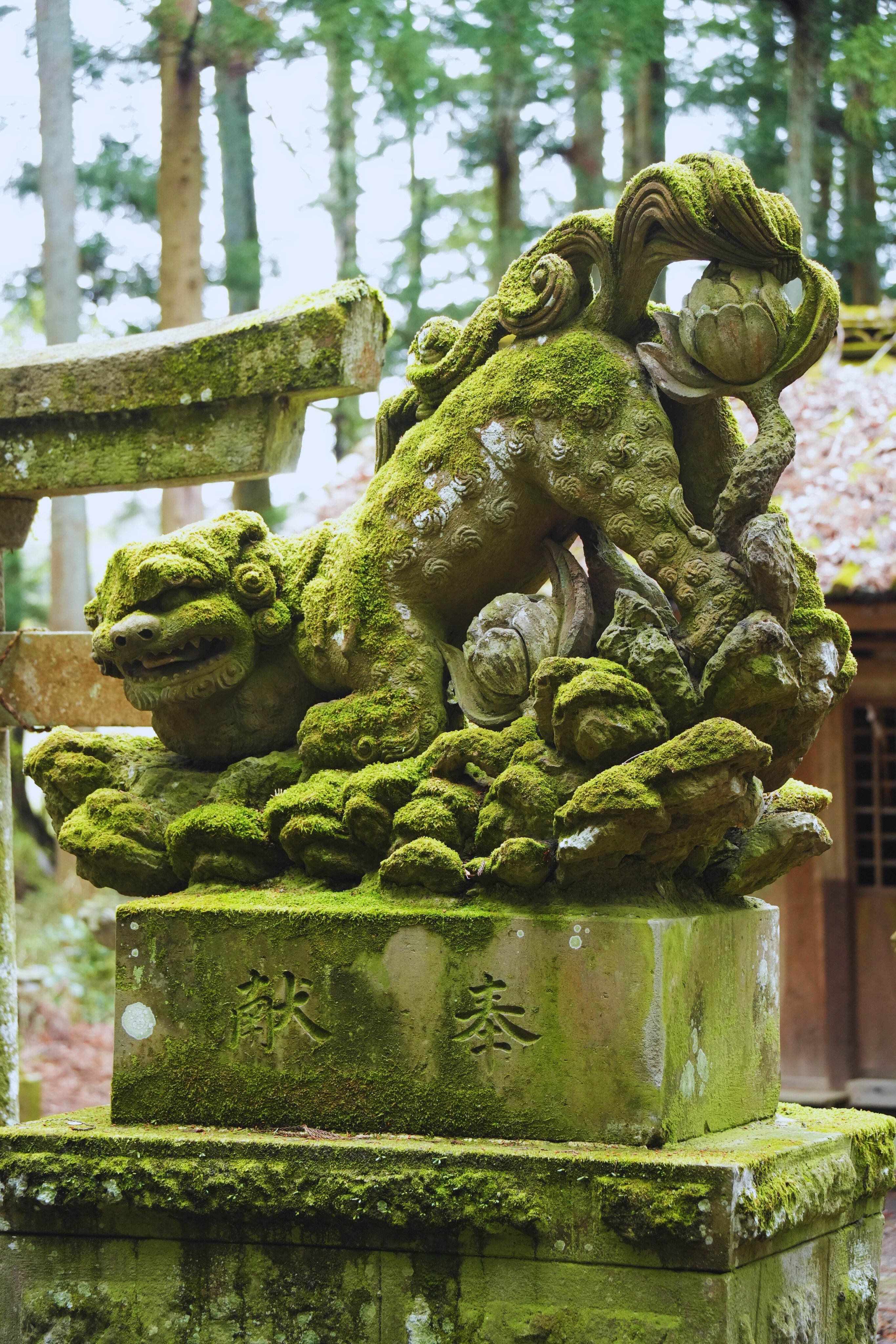 狛犬が逆立ちする金沢：ひがし茶屋街奥の宇多須神社や21世紀