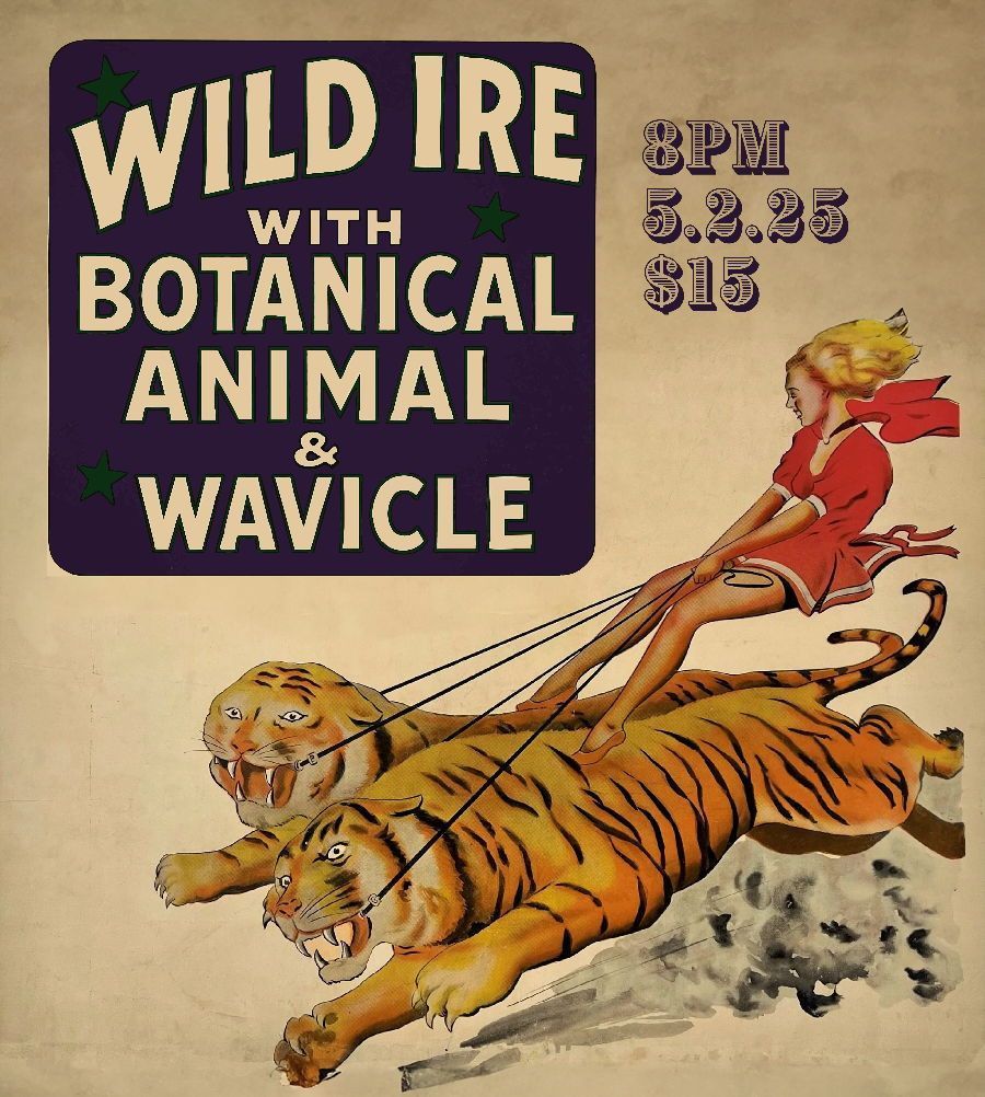 🐯This Friday, May 2nd <a href="/WildIreOfficial/">Wild Ire</a> with Botanical Animal and Wavicle. 🎟️ startheaterportland.com