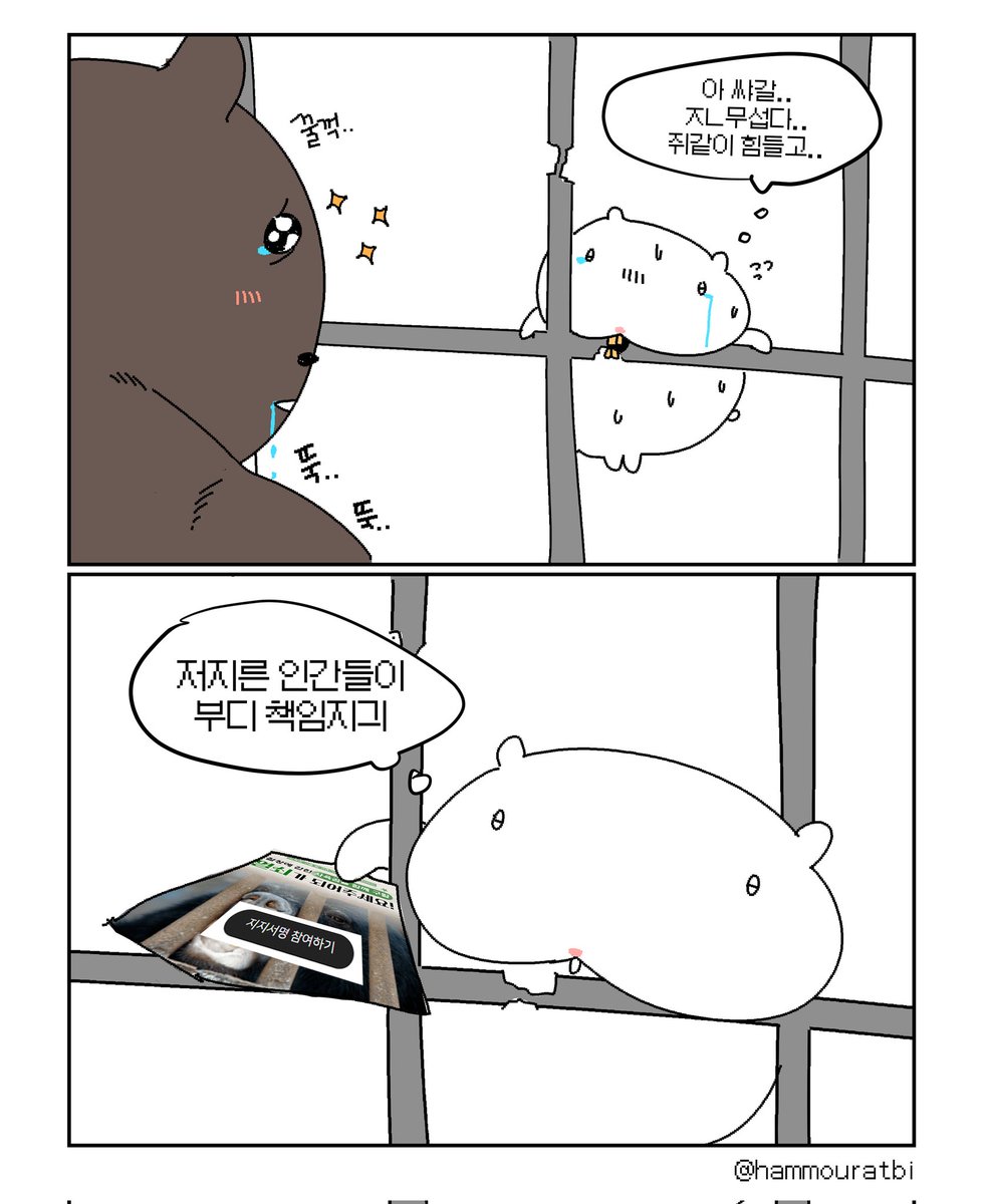 bearsave.greenkorea.org