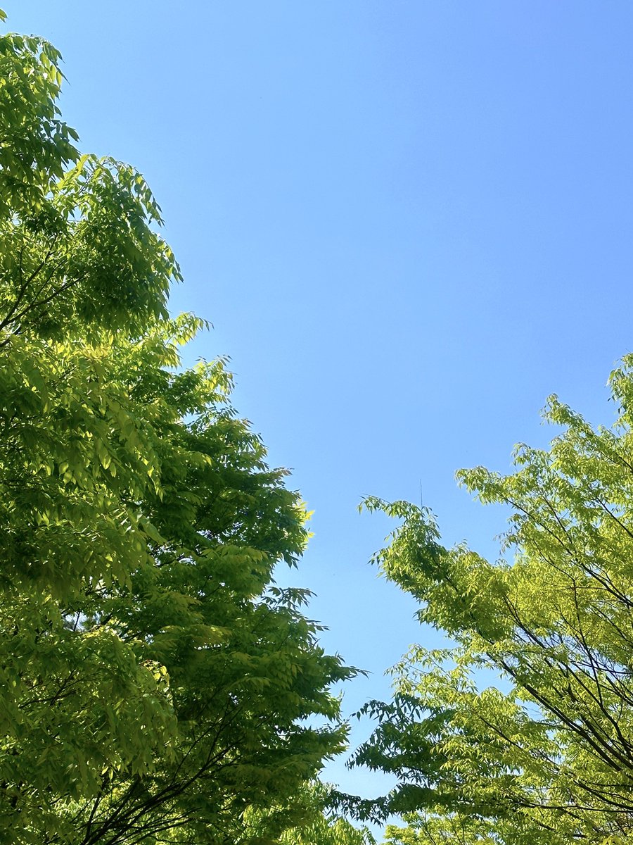 스계절이 너무 잘 어울리는 날씨야 (๑´ω`๑) 🎧🎵💚