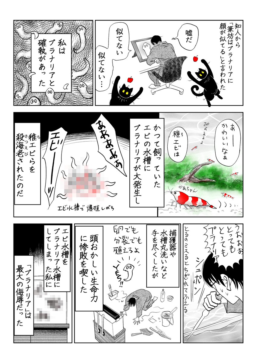 猫「わからせてやるよ」 衆愚編

(3/5) 