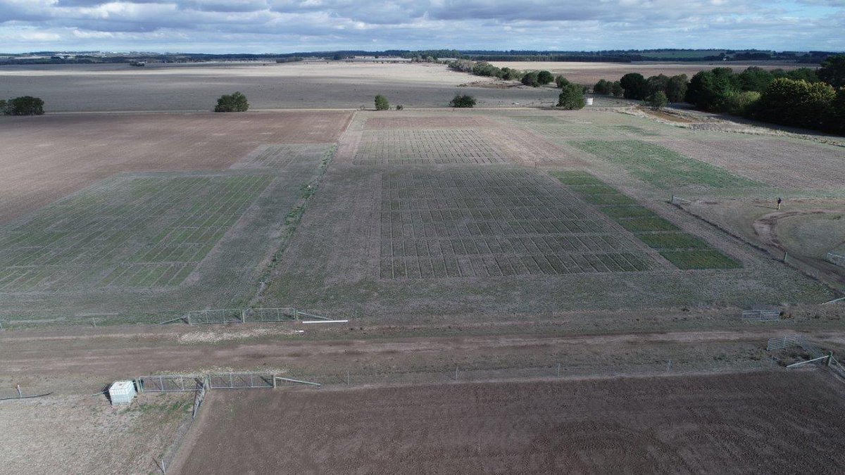 Stuart Kemp tweet media