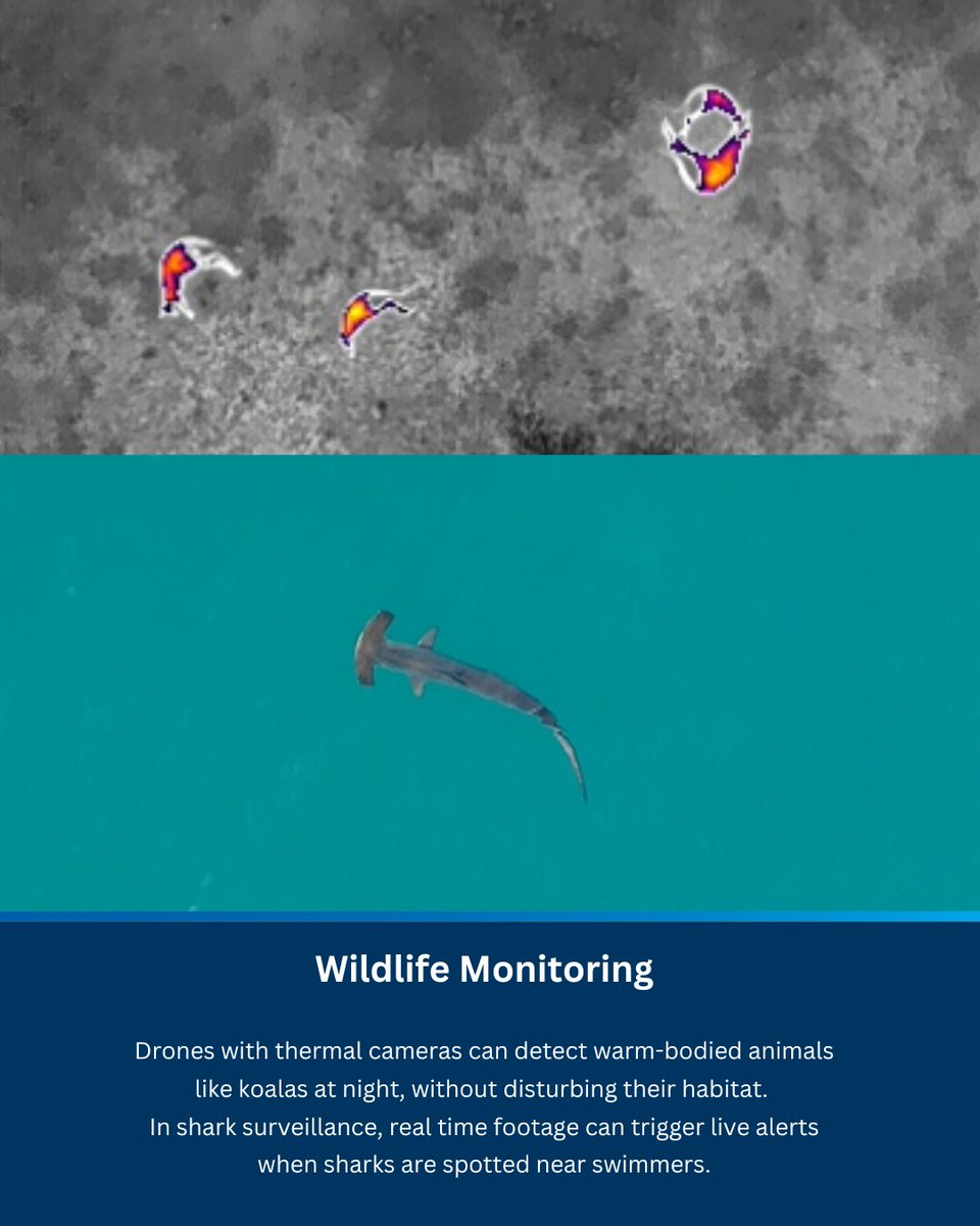 #ENVIRONMENTALMONITORING // Our drones are making a significant impact beyond just shark surveillance. We do a wide range of environmental monitoring, including wildlife tracking, coastal erosion mapping, vegetation health analysis, and more!