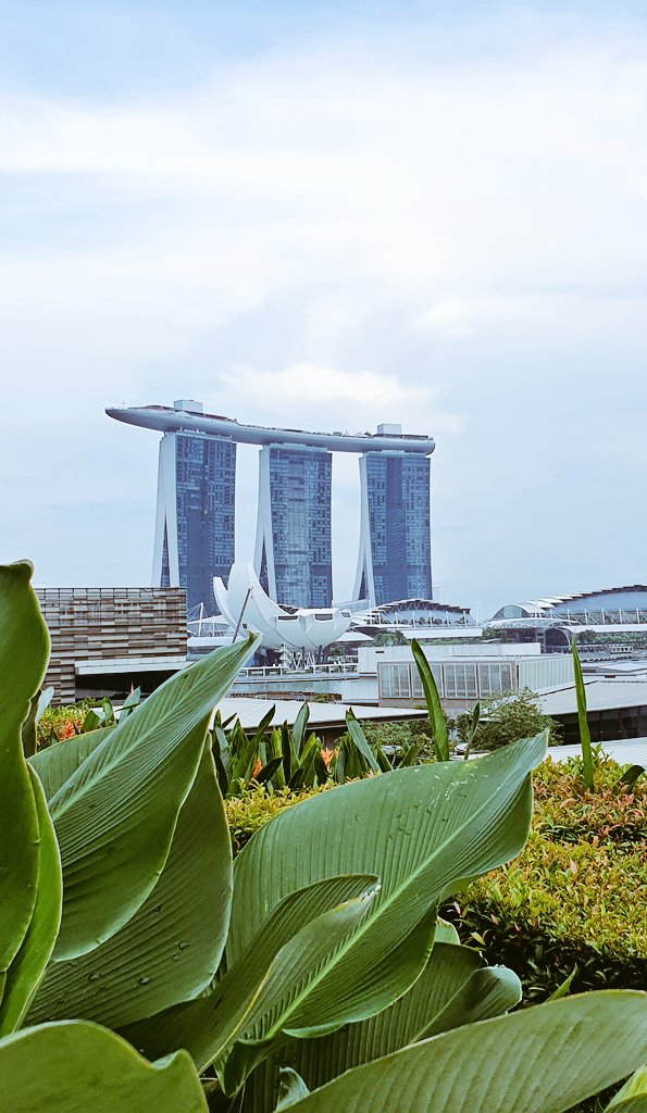 Vicki Treadell tweet media