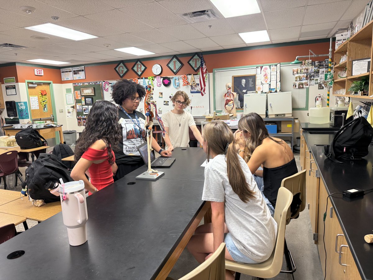 BlackburnAnatomy tweet media