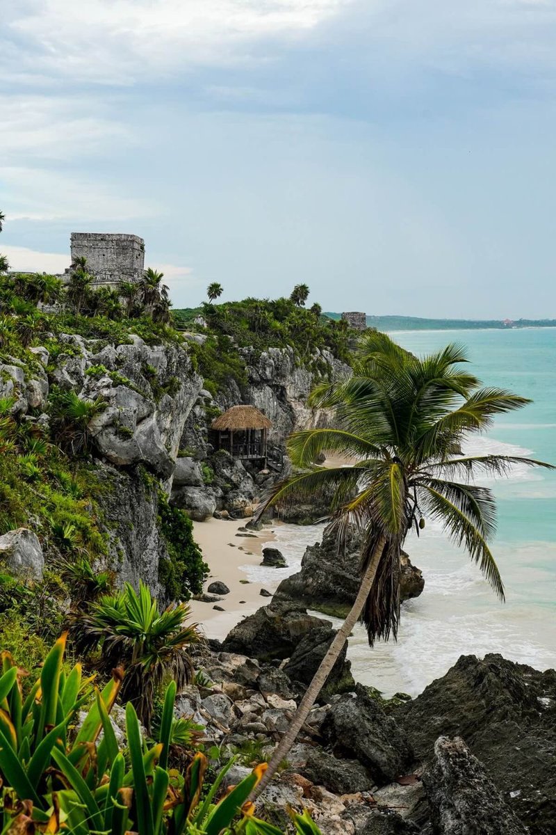 Energía ancestral.
Una joya maya frente al mar.
Siente el poder del lugar donde todo comenzó. ven y conoce las ruinas de Tulum
✨🌊 #TulumRuins #tulum #visittulum #quintanaroo <a href="/robpalazuelos/">Roberto Palazuelos</a>