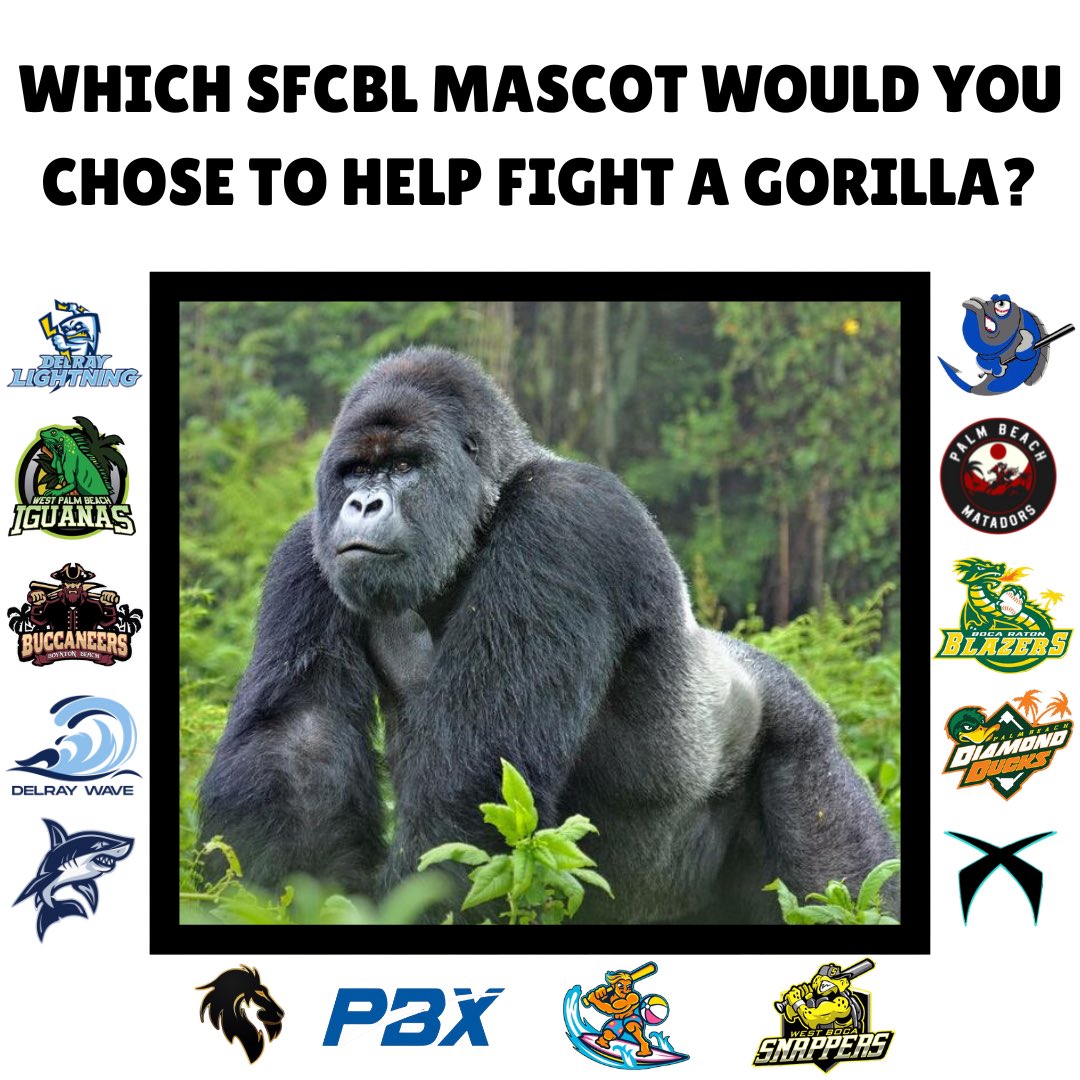SFCBL_Official's tweet image. Gorilla v who?