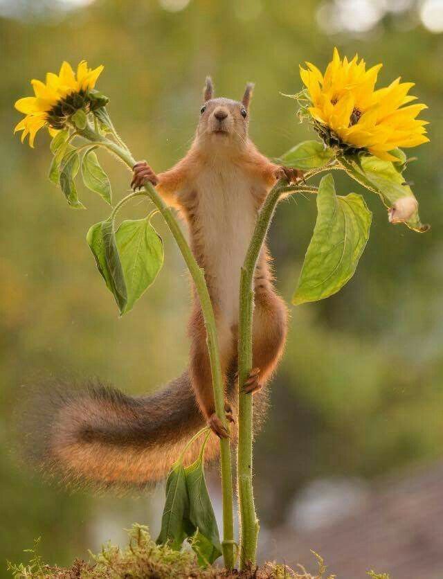 vivaneil (@vivaneil1234) on Twitter photo 