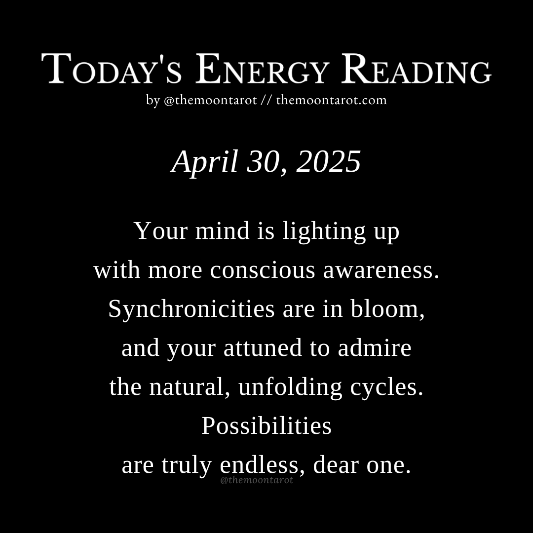 The Moon Tarot tweet media