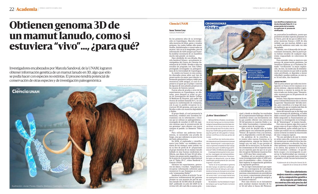 Obtener información genómica de un mamut  como si estuviera “vivo” ¿para qué? <a href="/Ciencia_UNAM/">Ciencia UNAM</a> nos comparte detalles de la investigación encabezada por Marcela Sandoval, del <a href="/ccg_unam/">CCG UNAM</a>, donde lograron obtener información genética de un mamut lanudo en 3D bit.ly/42ywCrd