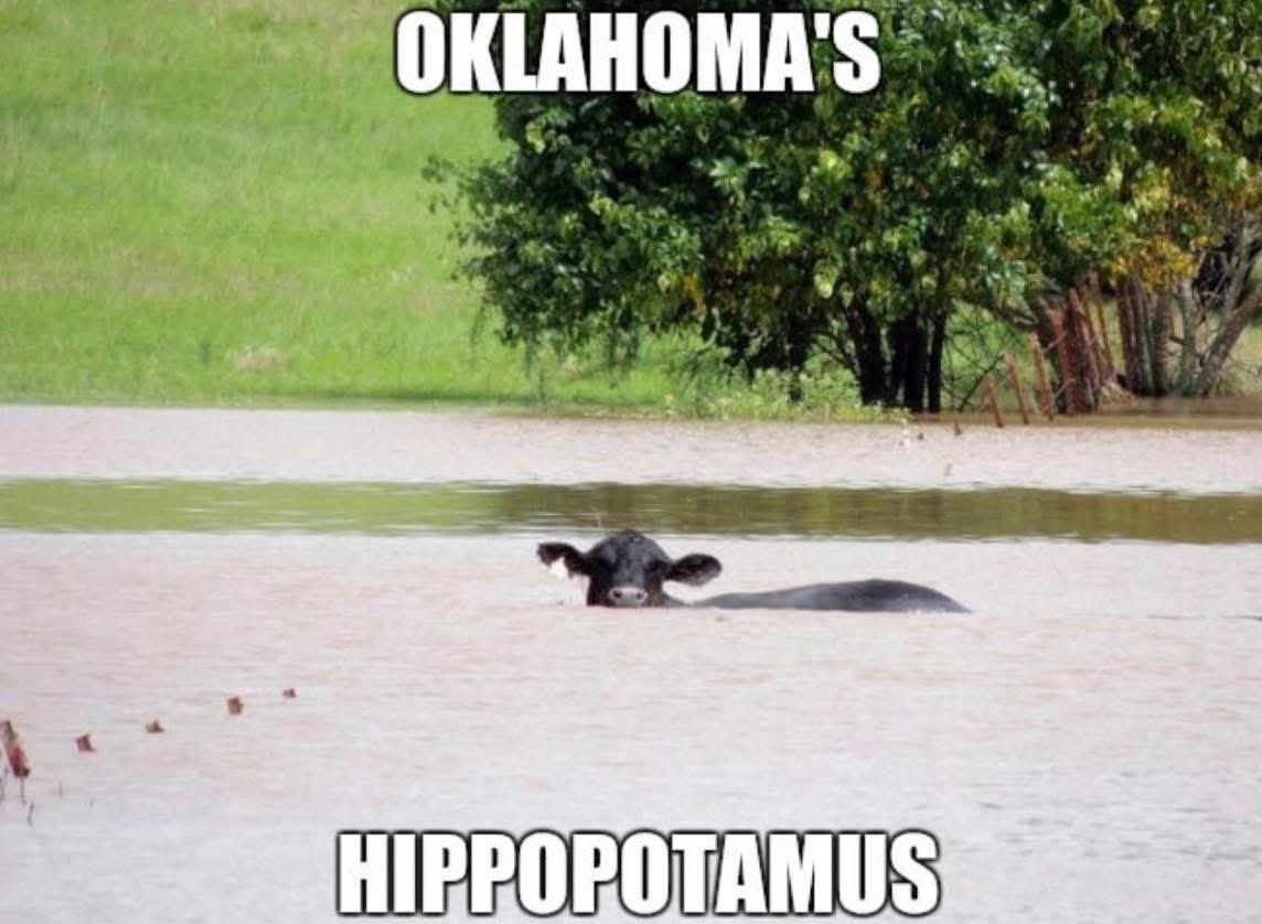 This is no joke too but I’m not complaining about the rain! #agtwitter #okwx  #raining #Oklahoma