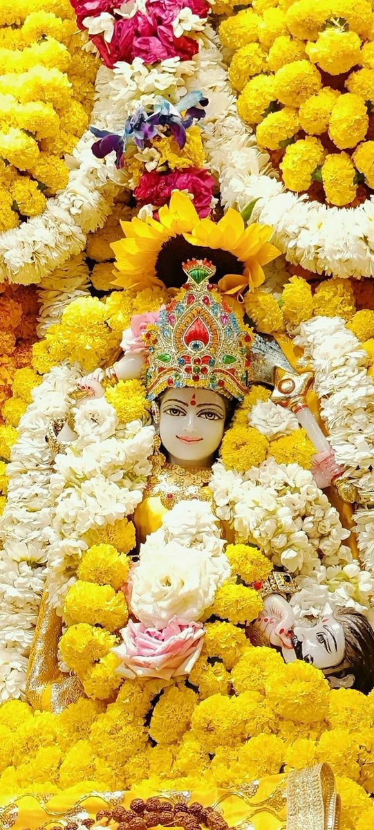 माँ बगलामुखी की शक्ति का प्रयोग देश और विश्व की मंगल कामना, धर्म की रक्षा और मानव कल्याण के लिए प्रयोग करना चाहिए।