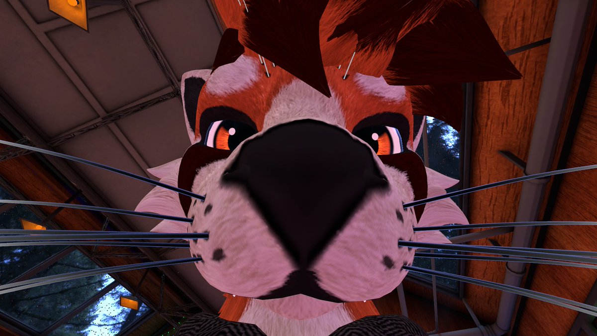 You got games on yo phone??