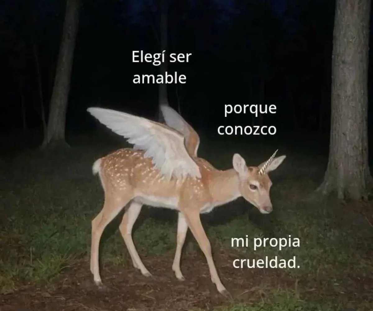 emociones amarillas (@conoloracigarro) on Twitter photo 