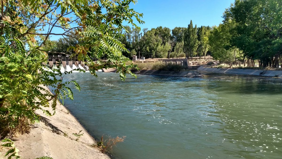 Gobierno de Río Negro (@rionegrogob) on Twitter photo UN PASO FUNDAMENTAL PARA MEJORAR EL CANAL DE RIEGO EN CINCO SALTOS
El <a href="/dparionegro/">DPA Río Negro</a> licitó obras de reparación con el objetivo de mejorar la eficiencia hídrica en la región.
🔨 La intervención incluye la demolición y retiro de losas deterioradas, la recompactación de la base con UN PASO FUNDAMENTAL PARA MEJORAR EL CANAL DE RIEGO EN CINCO SALTOS
El <a href="/dparionegro/">DPA Río Negro</a> licitó obras de reparación con el objetivo de mejorar la eficiencia hídrica en la región.
🔨 La intervención incluye la demolición y retiro de losas deterioradas, la recompactación de la base con