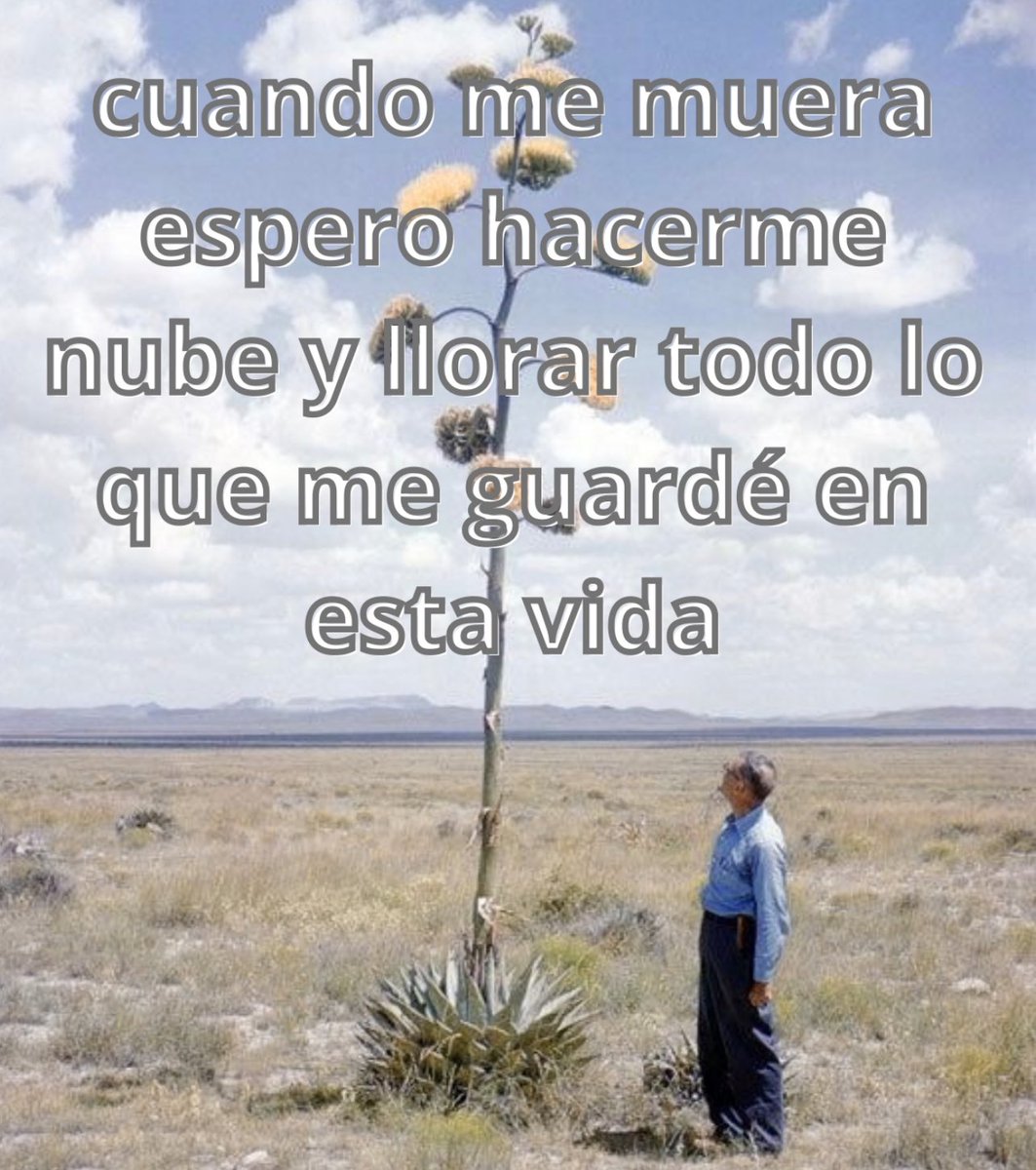 emociones amarillas (@conoloracigarro) on Twitter photo 