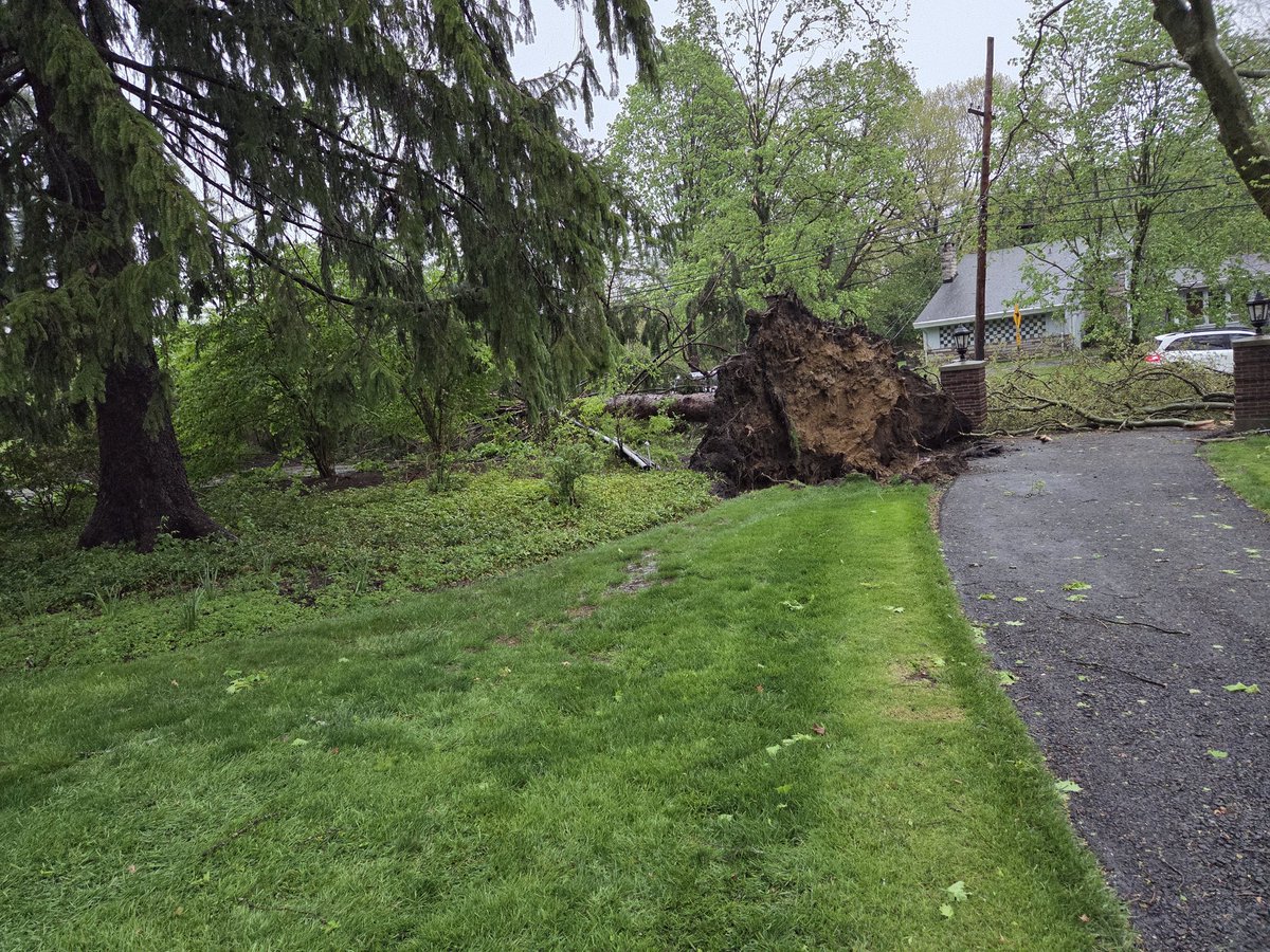 Here are some pictures of how things are going over here.  How's everyone else doing?