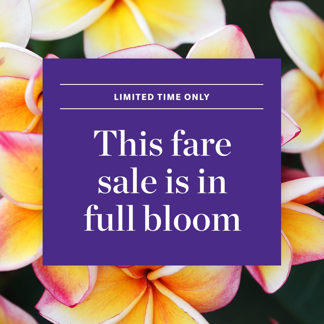 HawaiianAir's tweet image. This fare sale is in full bloom. And it might smell like sweet flight deals. 🌺 Take your pick of discounted fares for a limited time: on.hwnair.com/3GrGNVN