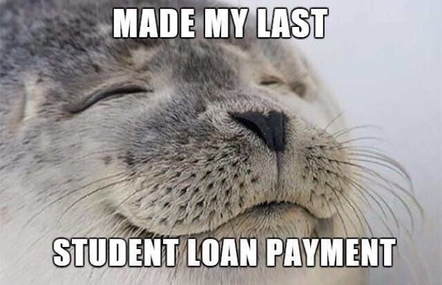 danionsolana's tweet photo. every $college holder rn #collegecoin https://t.co/OkUiPgsXlV