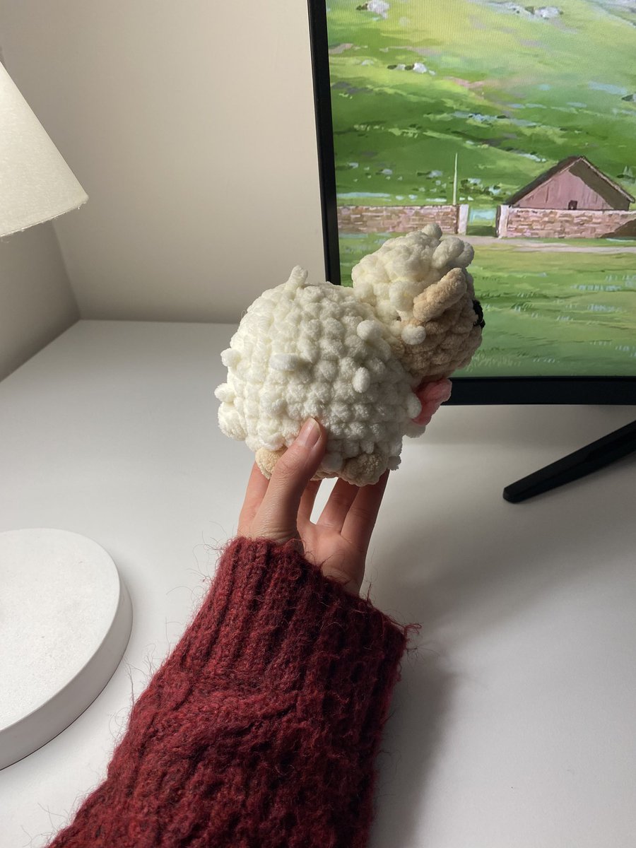 baby sheep🎀🐑