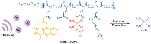 Ultrasound Irradiation-Induced Superoxide Anion Radical Mediates the Reduction of Tetravalent Platinum Prodrug for Antitumor Therapy chinesechemsoc.org/doi/10.31635/c… 

#chemistry #openaccess #science #chemtwitter