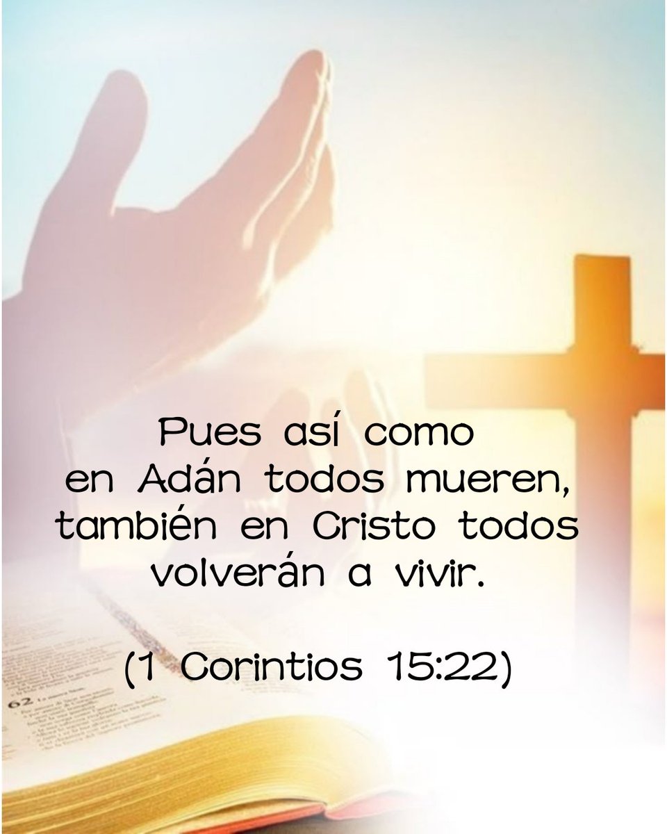 Frases y versos de La Bíblia. tweet media