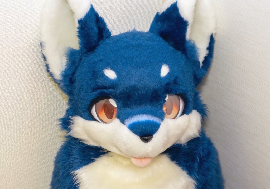 Gabudigi_8940's tweet photo. #突発性うちの子可��い症候群
ﾃﾍｯ(  ¯👅¯  ) https://t.co/5ZrWRG4TYa