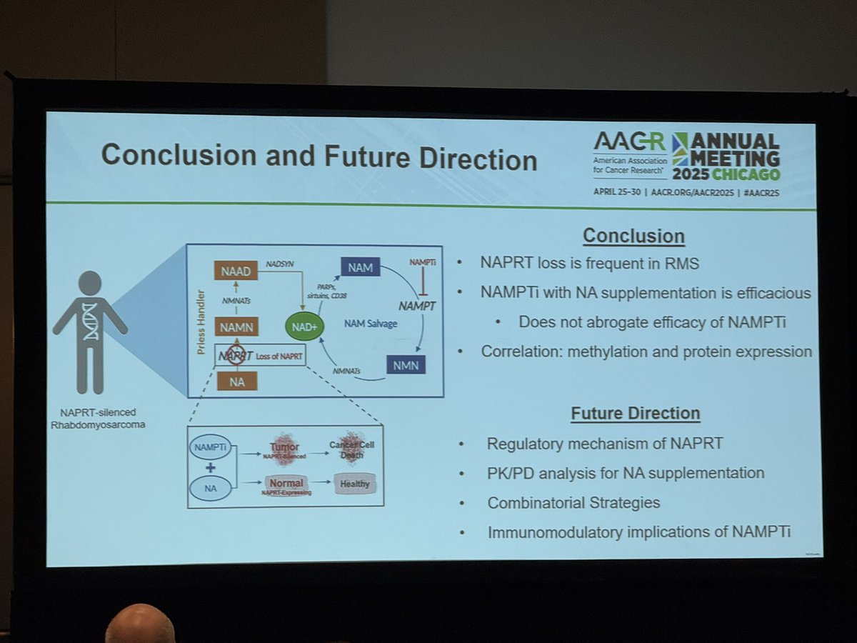 Yale Cancer Center (@yalecancer) on Twitter photo .<a href="/AngKim99/">Angela Kim</a> presented during an #AACR25 session chaired by <a href="/NitaAhujaMD/">Nita Ahuja</a> on NAPRT loss in rhabdomyosarcoma and the need for additional study as a potential biomarker in future clinical trials using NAMPTi. <a href="/ranjitbindra/">Ranjit Bindra,MD/PhD</a> <a href="/JcvasqV/">Juan Vasquez, MD</a> <a href="/SmilowCancer/">Smilow Cancer Hospital</a> <a href="/yalepathology/">Yale Pathology</a> .<a href="/AngKim99/">Angela Kim</a> presented during an #AACR25 session chaired by <a href="/NitaAhujaMD/">Nita Ahuja</a> on NAPRT loss in rhabdomyosarcoma and the need for additional study as a potential biomarker in future clinical trials using NAMPTi. <a href="/ranjitbindra/">Ranjit Bindra,MD/PhD</a> <a href="/JcvasqV/">Juan Vasquez, MD</a> <a href="/SmilowCancer/">Smilow Cancer Hospital</a> <a href="/yalepathology/">Yale Pathology</a>