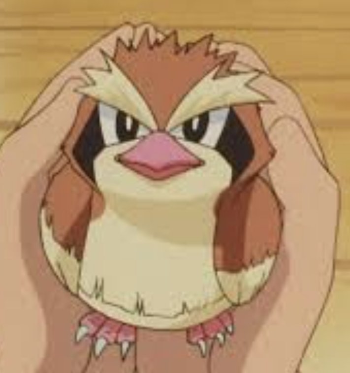 MetaZesh's tweet image. Y'all pidgeys are a fucking menace, killed my homeboy Baerat with two crits in a row and keep critting my team while grinding