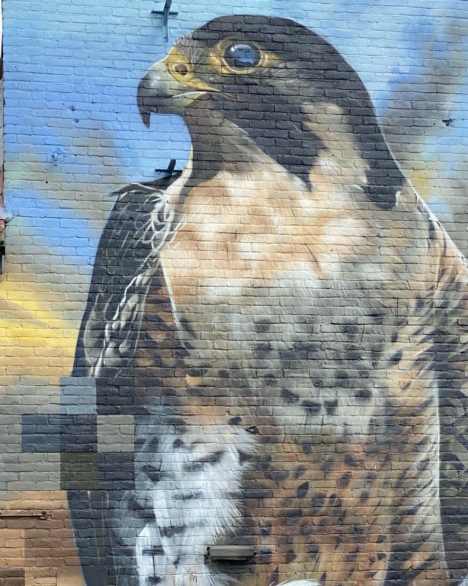 Caught this excellent mural over the weekend in Penge, South London, painted by artist Aspire as part of the Penge Rooftop Gallery curated by London Calling Blog. 

#streetart #hookedblog