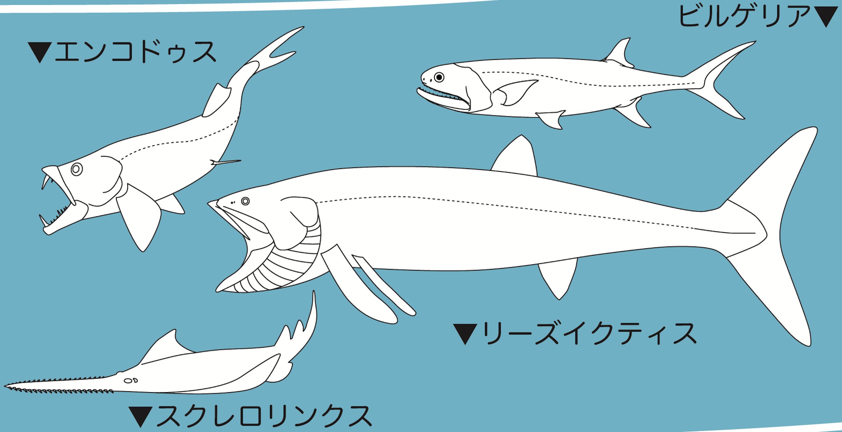 Amazon.co.jp: ニホンザル性の生理 (自然誌選書) : 和秀 雄: 本