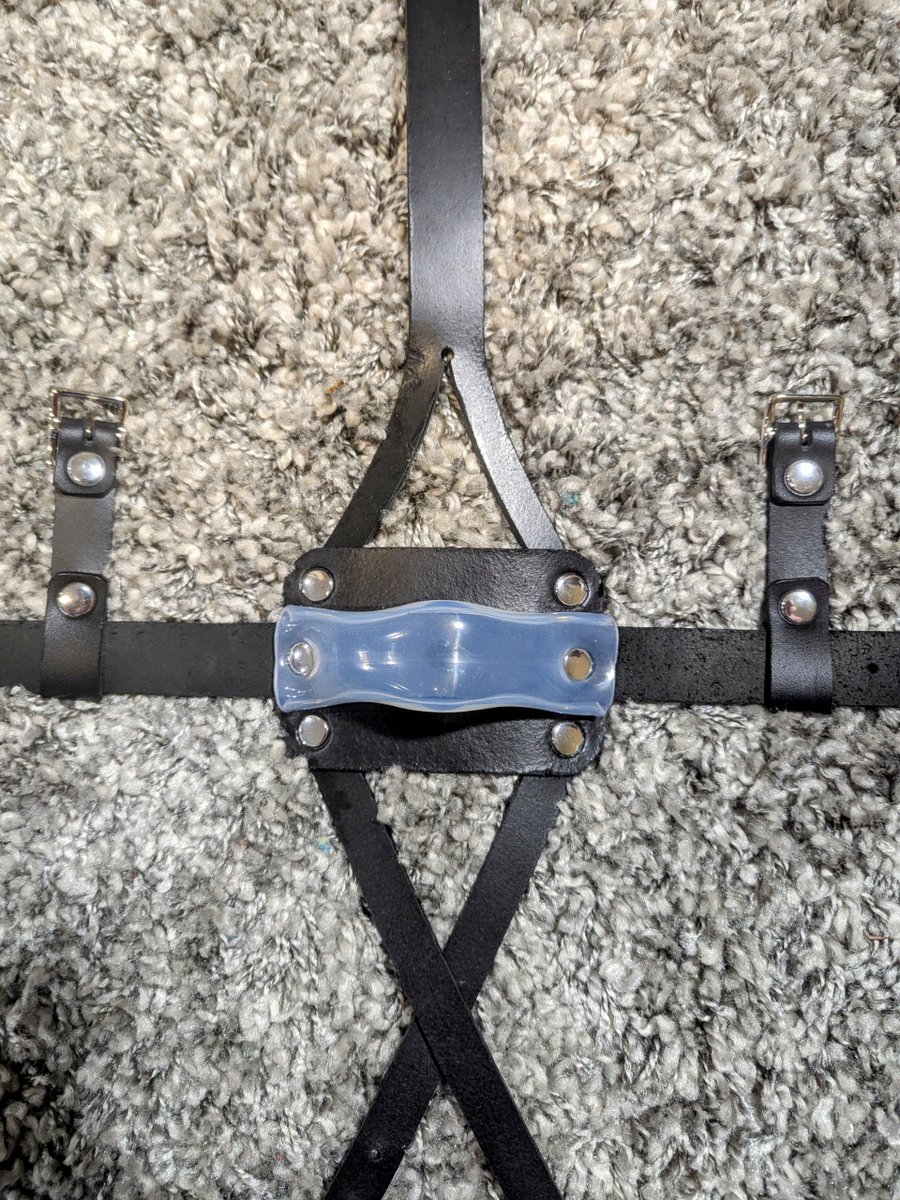 Another new Muzzle Gag option available on Etsy.

I am calling this the Muzzle Bit Gag.  The hospital grade silicone tubing acts like a bit behind the panel.  It is easier on the jaw than the 2" ball but still very effective.

It is very strong and bite resistant.